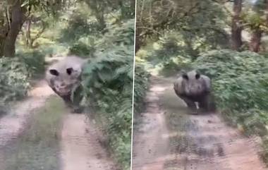 Rhinoceros Chasing Vehicle: পর্যটকদের জিপের পিছনে তাড়া করছে একশৃঙ্গী গণ্ডার, দেখুন ভয়াবহ ভিডিয়ো