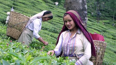 Tea As National Drink: জাতীয় পানীয়ের সম্মান দেওয়া হোক চা-কে, দেখুন বিজেপির দাবির ভিডিয়ো