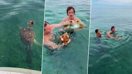 Sea Turtle: জালে আটকে পড়া কচ্ছপকে বাঁচাচ্ছেন দুই মৎস্যজীবী, দেখুন ভিডিয়ো