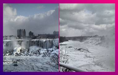 Niagara Falls জমে গেল বরফে