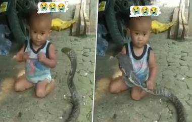 Viral Video: বিষধর সাপের সঙ্গে খেলা করছে শিশু, দেখুন গা শিউরে ওঠা দৃশ্য