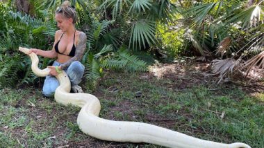 Viral Huge White Snake: ফ্লোরিডায় ধরা পড়ল দৈত্যাকার অ্যালবিনো বোয়া কনস্ট্রিক্টর, দেখুন চমকে দেওয়া ছবি