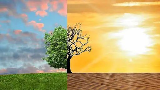 Assam News: বিশ্বব্যাপী জলবায়ু পরিবর্তন মোকাবিলায় ভারত একটি বড় ভূমিকা নিতে পারে, এমনি আহ্বান ডঃ আর কে রঞ্জন