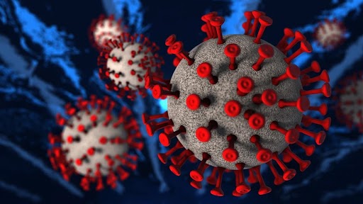 HMPV Virus In Bengaluru: চিনের ভাইরাস থাবা বসাল ভারতে? বেঙ্গালুরুতে HMPV তে আক্রান্ত ৮ মাসের শিশু