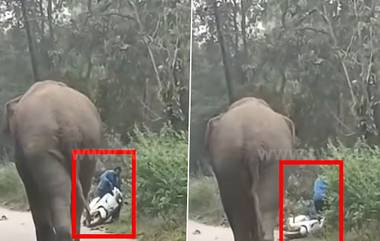 Elephant attack: অল্পের জন্য হাতির আক্রমণের হাত থেকে রক্ষা পেলেন এক বাইক আরোহী(দেখুন ভিডিও)