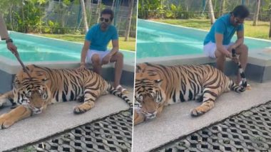 Santhanam’s Video of Him Petting a Tiger Goes Viral; পোষ্য বাঘের ভিডিও শেয়ার করতেই ক্ষুব্ধ নেটিজেনদের সম্মুখীন হতে হয় সান্থানামকে(দেখুন ভিডিও)