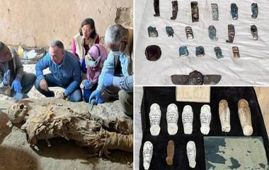 Egyptian Ancient Tombs Unearthed: মিশরের লুক্সরে খনন করে পাওয়া গেল প্রাচীন পারিবারিক সমাধি