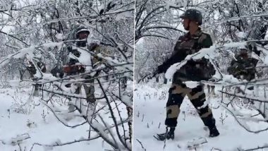 BSF Troops Patrolling In Heavy Snow: অবিরাম তুষারপাতের মধ্যেও কর্তব্যে অবিচল বিএসএফ জওয়ানরা, দেখুন দেশরক্ষার সেই ভিডিয়ো
