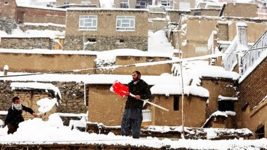 Afghanistan: কনকনে ঠাণ্ডায় মৃত্যু ২০ জনের, শীতের কামড়ে শেষ ৪ হাজার গৃহপালিত পশু