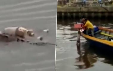 Crocodile Video: ইন্দোনেশিয়ায় শিশুর দেহ ফেরাল কুমীর, ভিডিয়ো ভাইরাল