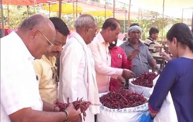 Chilli Fair 2023: শুকনো লঙ্কা মেলায় ঝালের খোঁজে মিষ্টি মুখে হাজির মানুষ