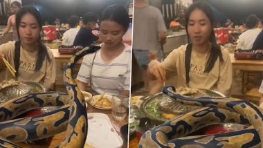 Girls Dining With Python: অজগরকে শরীরে জড়িয়ে ডিনার সারছেন সুন্দরী, দেখুন ভয়ানক ভিডিয়ো