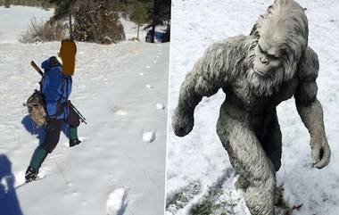 Bigfoot Tracks: নিউ মেক্সিকোতে পাওয়া গেল তুষার দৈত্যর পায়ের ছাপ! দেখুন সেই ছবি