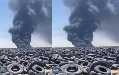 Tire Graveyard: দুনিয়ার সবচেয়ে বড় টায়ারের শ্মশান, দাহ হয় একসঙ্গে ৫ কোটি টায়ারের দেহ, দেখুন ভিডিয়ো