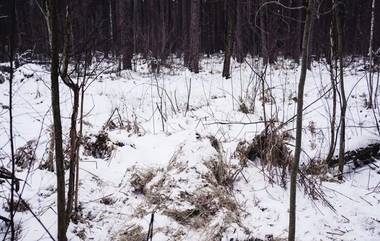 Ukraine Military Photo: বরফের মধ্যে থেকে শত্রুর দিকে তাক করা রাইফেল, ইউক্রেনের সেনার ছবিতে চমকে উঠবেন