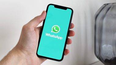 WhatsApp Glitch: হোয়াটসঅ্যাপের গোপনীয়তা সেটিংসে বিভ্রাট, সমস্যার মুখে iPhone ব্যবহারকারীরা   