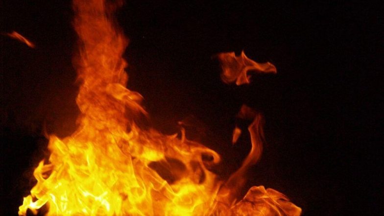 E-Bike Bursting Into Flames: লন্ডনে ফের ইলেকট্রিক বাইকে বিস্ফোরণ, দেখুন ভিডিয়ো