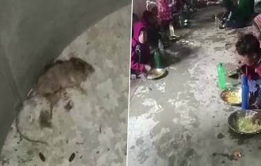 Rat & Lizard Found In Mid-Day Meal: মিড-ডে মিলের খাবারে মিলল মরা টিকটিকি-ইঁদুর, ভাঙচুর মালদার স্কুলে