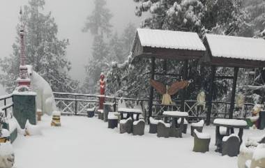 Himachal Pradesh: তুষার- বরফে ঢাকা হিমাচলে পর্যটকদের ঢল, হোটেল মালিকদের সঙ্গে খুশি স্থানীয়রাও