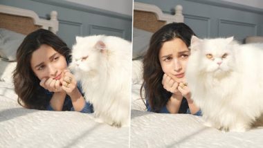 Alia Bhatt and Pet Cat: ছুটির দিনে অন্য মেজাজে আলিয়া