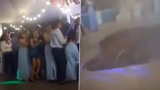 Viral Video: গ্রাজুয়েশন পার্টির উদ্দাম নাম, হুড়মুড়িয়ে ভেঙে পড়ল মঞ্চ