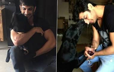 Sushant Singh Rajput Pet Fudge Dies: বন্ধুর সঙ্গে দেখা ফাজের, প্রয়াত সুশান্ত সিং রাজপুতের প্রিয় পোষ্য