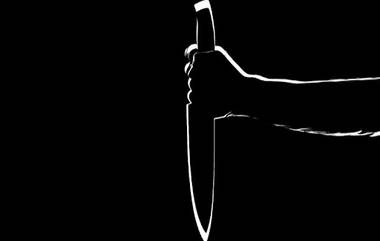 Delhi Youth Stabbed: দিল্লিতে ফের নৃশংস ছুরিকাঘাত কাণ্ড উঠে এল সিসিটিভিতে