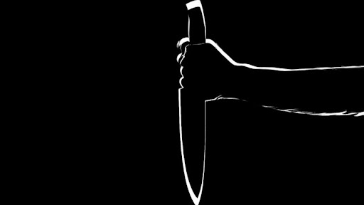 California Shocker: ১১ বছরের ছেলেকে নৃশংসভাবে খুন মায়ের, হোটেল রুম থেকে উদ্ধার ওষুধ ও ছুরি