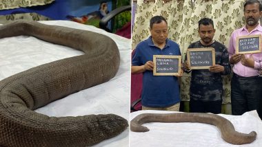 Red Sand Boa Snake: দার্জিলিং থেকে কোটি টাকার বিরল প্রজাতির সাপ পাচার,আটক চার