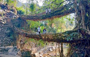 Meghalaya: ভোটাধিকার প্রয়োগ নিশ্চিত করতে প্রত্যন্ত গ্রাম, দুর্গম পথ পেরোচ্ছেন ভোটকর্মীরা