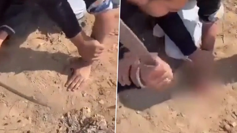 Viral Video: তলোয়ার দিয়ে একের পর এক আঘাত, কয়েক কোপেই আলাদা হাতের পাঁচ আঙুল, দেখুন পৈশাচিক দৃশ্য 
