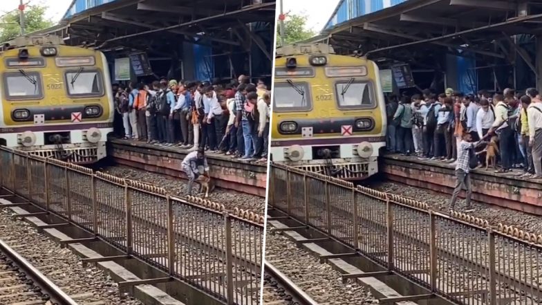 Viral video: দেখুন কীভাবে পথ কুকুরকে বাঁচাতে চলন্ত ট্রেনের সামনে ঝাঁপ দিলেন ব্যক্তি