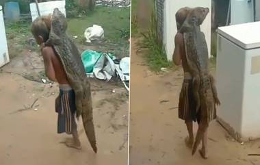 Viral Video: কুমিরকে কাঁধে চাপিয়ে ঘুরছে বালক, দেখুন অবাক করা দৃশ্য