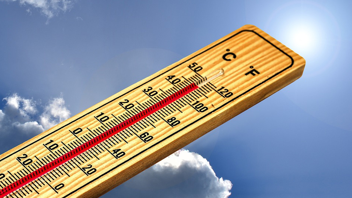 Summer Heat Wave: প্রচণ্ড গ্রীষ্মের তাপপ্রবাহ থেকে বাঁচতে কী কী করবেন? জানাচ্ছে স্বাস্থ্য মন্ত্রক
