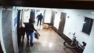 Dog Attack Video: কিশোরীকে দেখে তেড়ে কামড়াতে এল পোষ্য ল্যাবরেডর, দেখুন 