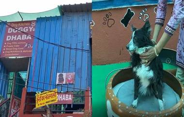 Doggy Dhaba: সারমেয়দের জন্য অভিনব উদ্যোগ! কুকুরদের জন্য থাকা ও খাওয়ার ধাবা খুললেন ইন্দোরের দম্পতি