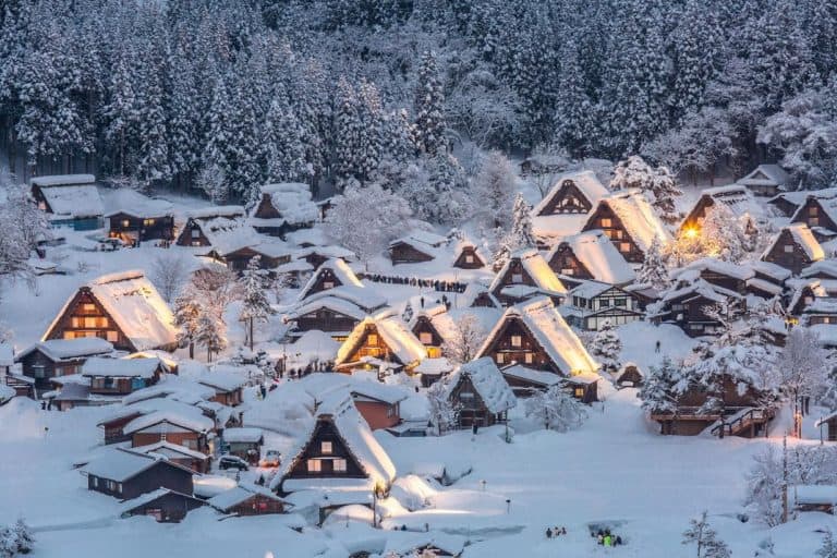 Heavy Snow in Japan Disrupts Flights and Trains, Closes Roads: জাপানে তুষারপাত, বিপর্যন্ত পরিষেবা