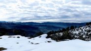 Germany Snowfall: বরফে ঢাকা, তুষারে মাখা জার্মানিতে বাতিল একের পর এক বিমান, ট্রেন
