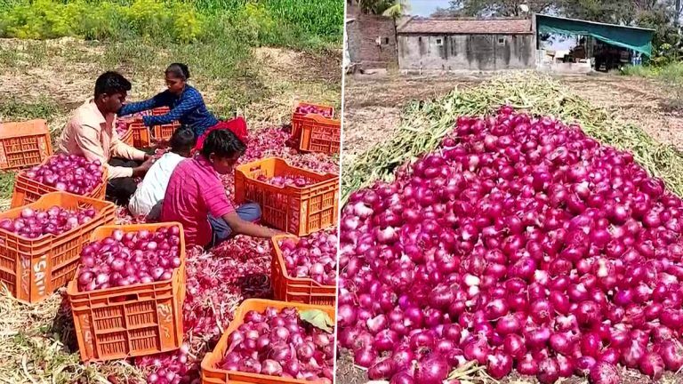 Nepal: রপ্তানিতে ৪০ শতাংশ শুল্ক ভারতের, নেপালের বাজারে ঘাটতি পেঁয়াজের