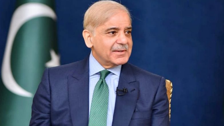 Pakistan On Verge Of Collapse: পাকিস্তানের মন্ত্রীরা চড়তে পারবেন না বিমানের বিসনেস ক্লাসে, বিদেশে থাকতে পারবেন না পাঁচতারা হোটেলেও