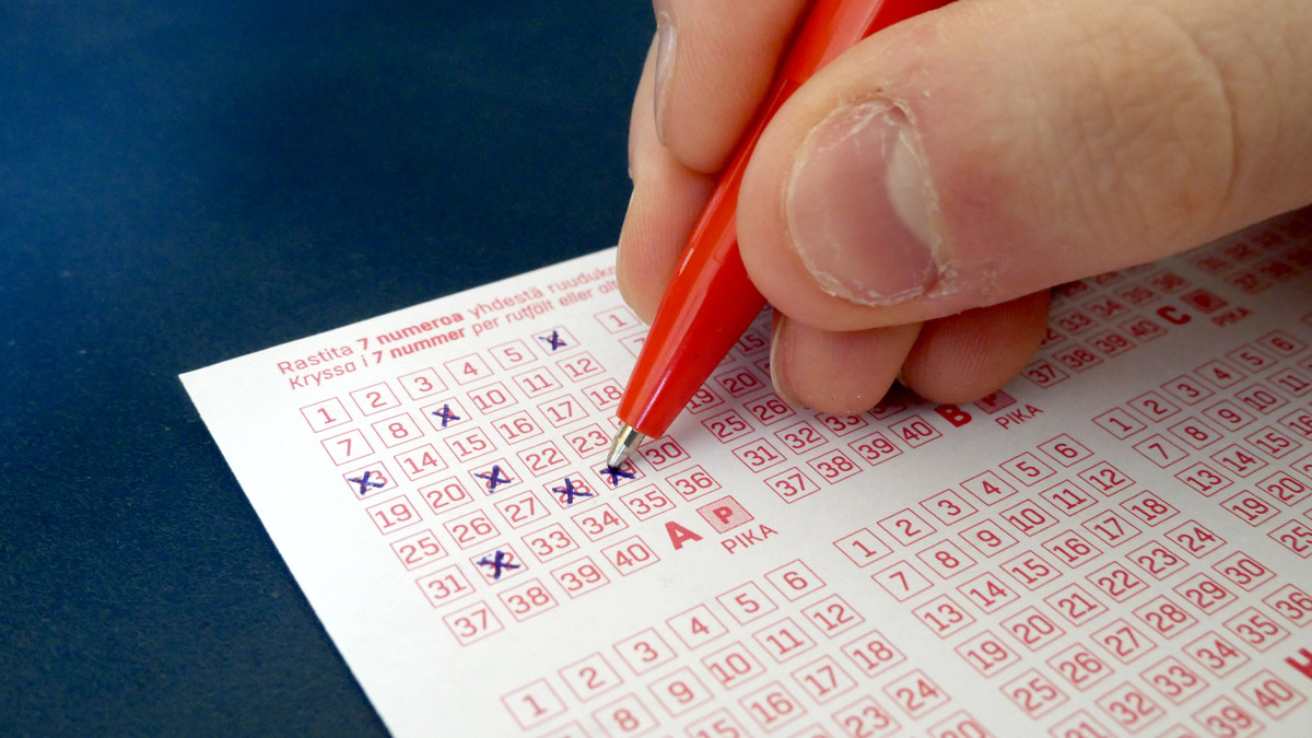 Lottery Sambad Result Today 14 January: লটারি সংবাদ রেজাল্ট আজ: জানুন ১৪ জানুয়ারি ২০২৬-এর বিজয়ী নম্বর এবং পুরস্কারের বিস্তারিত