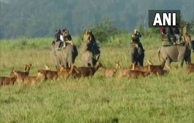 Assam: কাজিরাঙা জাতীয় উদ্যানে হাতির পিঠ থেকে পড়ে আহত ৪ পর্যটক