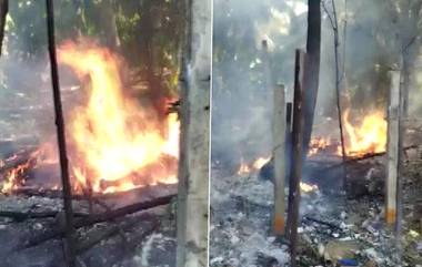 Cuddalore Fire: আতসবাজির রাখার জায়গায় আগুন লেগে তামিলনাড়ুতে মৃত মহিলা, জখম ৮