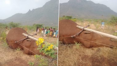 Elephant Death: খাবারের খোঁজে লোকালয়ে ঢুকে মর্মান্তিক মৃত্যু হাতির