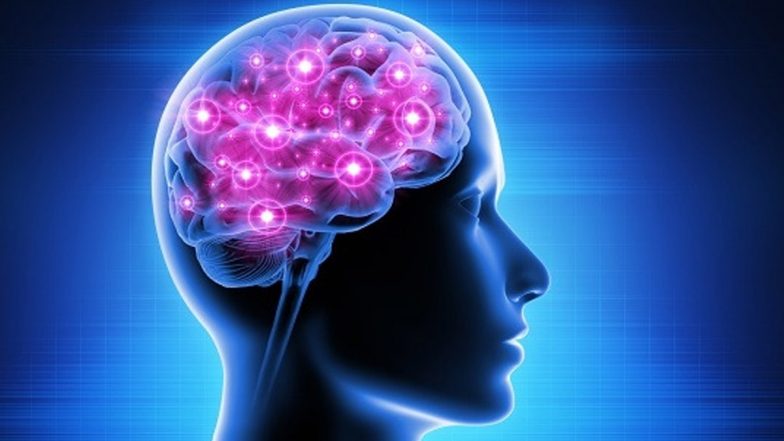 Stroke Death Figure In India: ভারতে প্রতি ৪ মিনিটে ১ জনের মৃত্যু হয় স্ট্রোক আক্রান্ত হয়ে