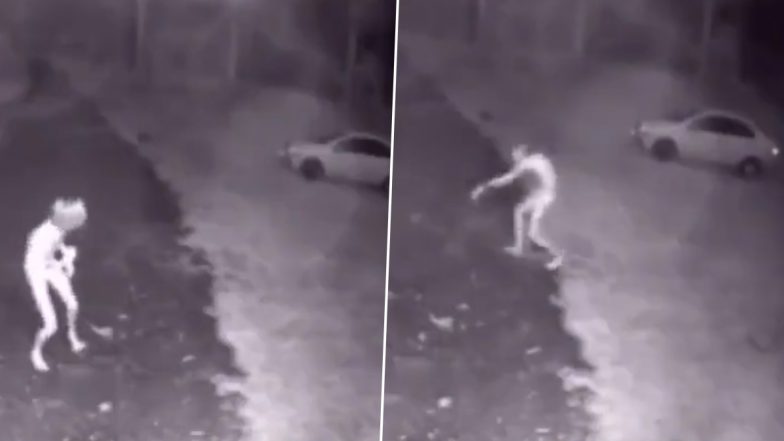 Alien Caught on Camera? সিসিটিভি ক্যামেরায় ধরা পড়ল ভিনগ্রহের প্রাণী! দেখুন ভাইরাল ফুটেজ