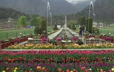 Jammu & Kashmir:  সাধারনের জন্য খুলে গেল এশিয়ার সব থেকে বড় ইন্দিরা গান্ধী টিউলিপ গার্ডেন