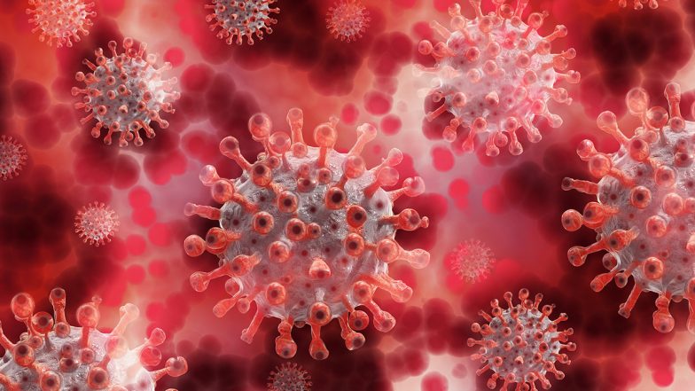 H3N2 Expert Tips: আতঙ্ক ছড়াচ্ছে এইচ৩এন২ ভাইরাস, সংক্রমণ রুখতে কী পরামর্শ দিচ্ছেন বিশেষজ্ঞরা?