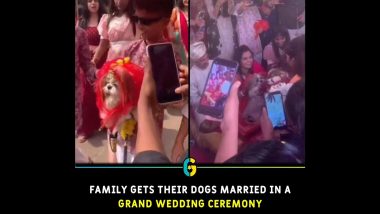 Dog's Luxurious Wedding: ধুমধাম করে কুকুরের বিয়ে, দম্পতির ভাইরাল ভিডিয়ো দেখে সমালোচনা নেটিজেনদের
