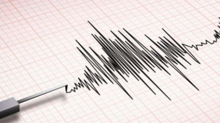 Earthquake in Kashmir: শক্তিশালী ভূমিকম্পে কেঁপে উঠল কাশ্মীর